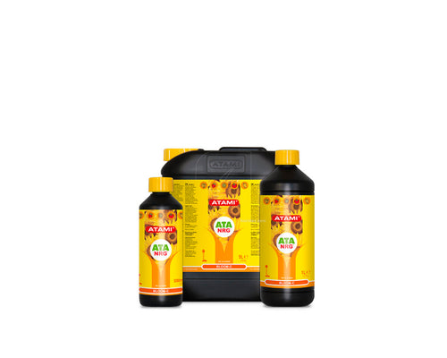 Bloom c ata nrg