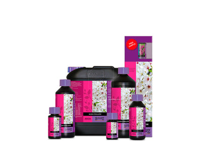 Bloom stimulator atami