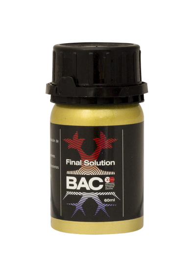 Final solution bac