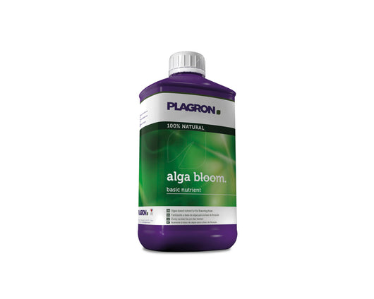 Alga bloom plagron