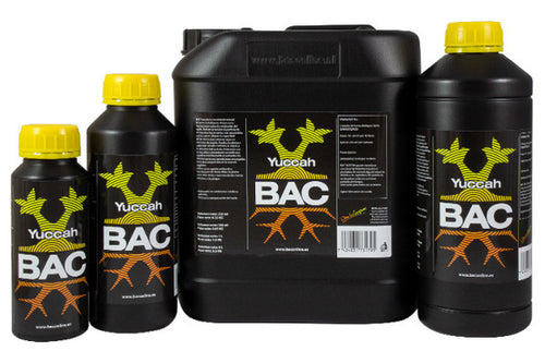 Yuccah bac
