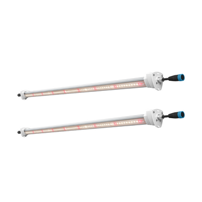 Inter canopy led (2 uds.) solux
