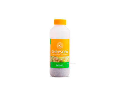 Chrysopa 1000 (pulgon) koppert