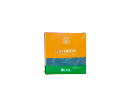 Entonem 50 mill steinernema feltiae (mosca suelo) koppert