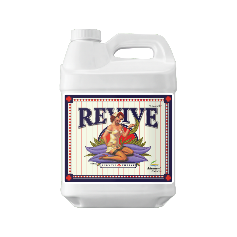 Revive