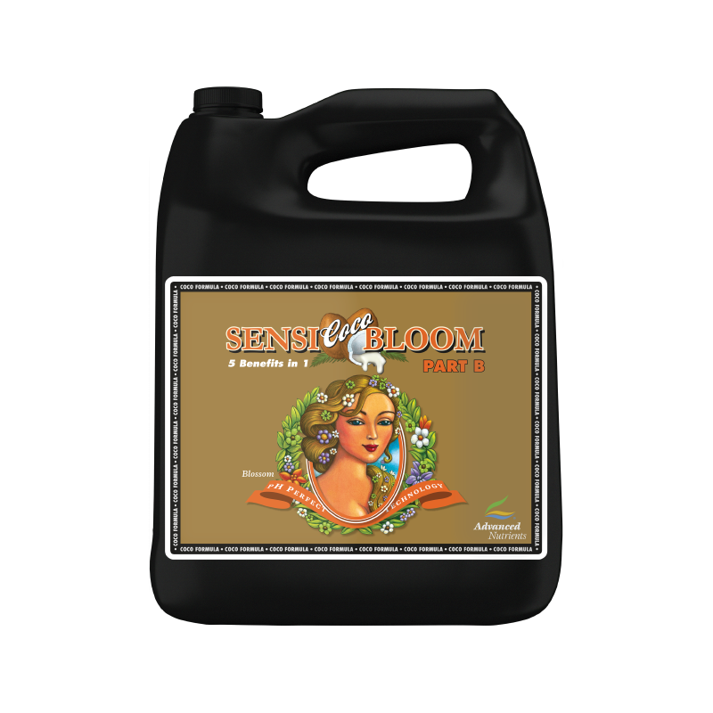 Sensi Bloom Coco B
