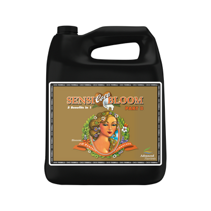 Sensi Bloom Coco B