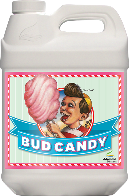 Bud Candy