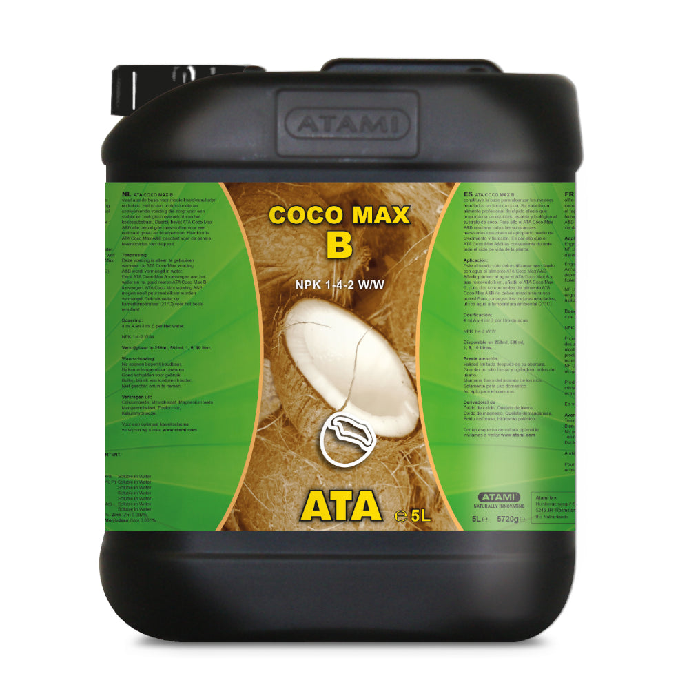 Atami - ATA Coco Max B