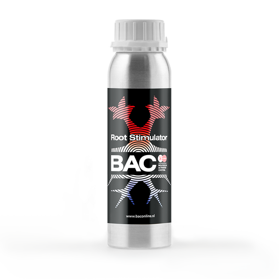 Root Stimulator BAC