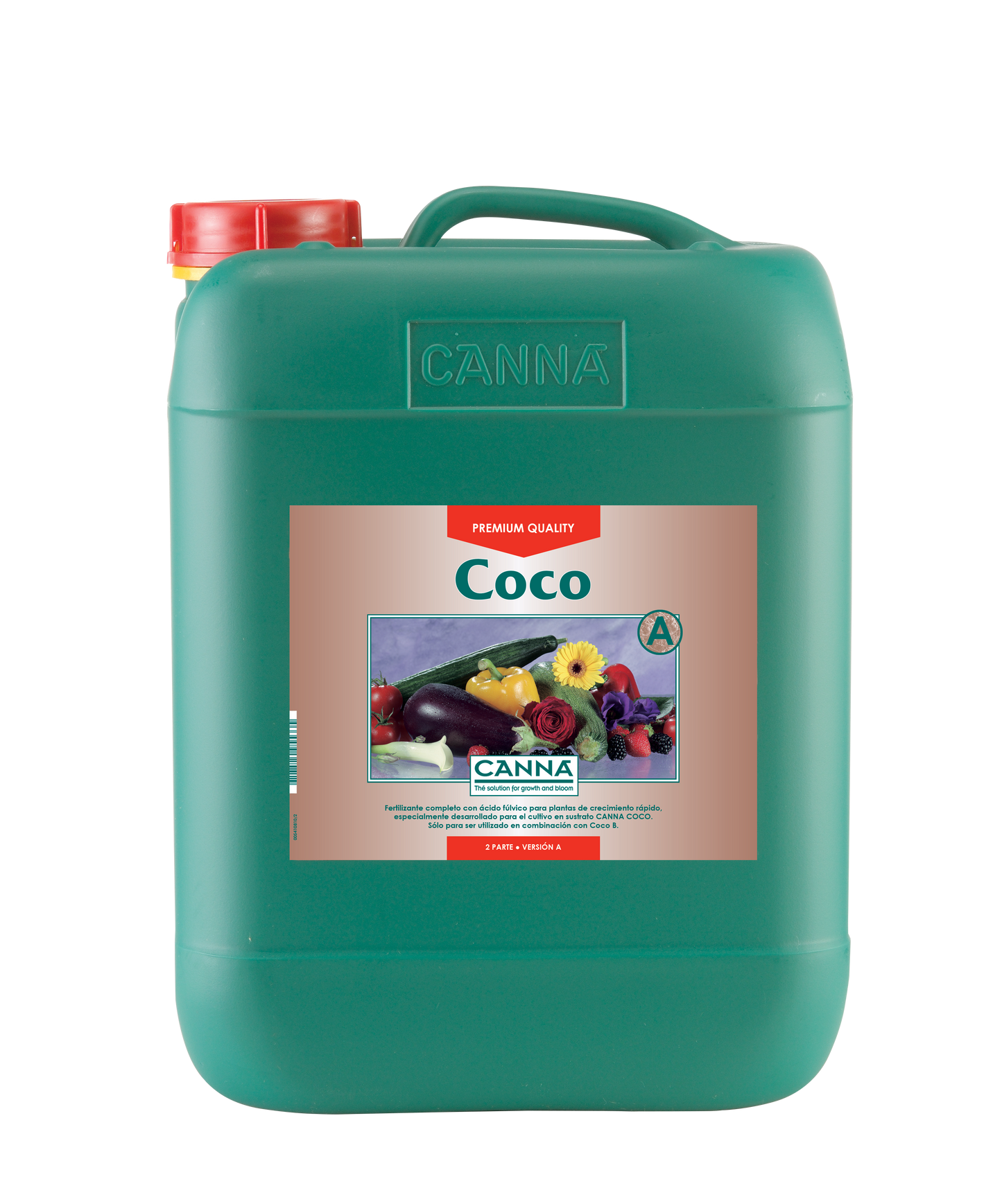 Coco A