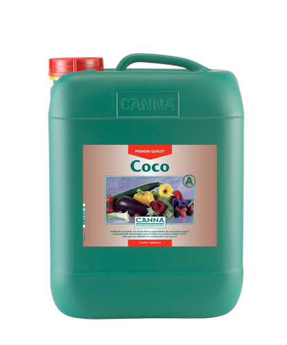 Coco A
