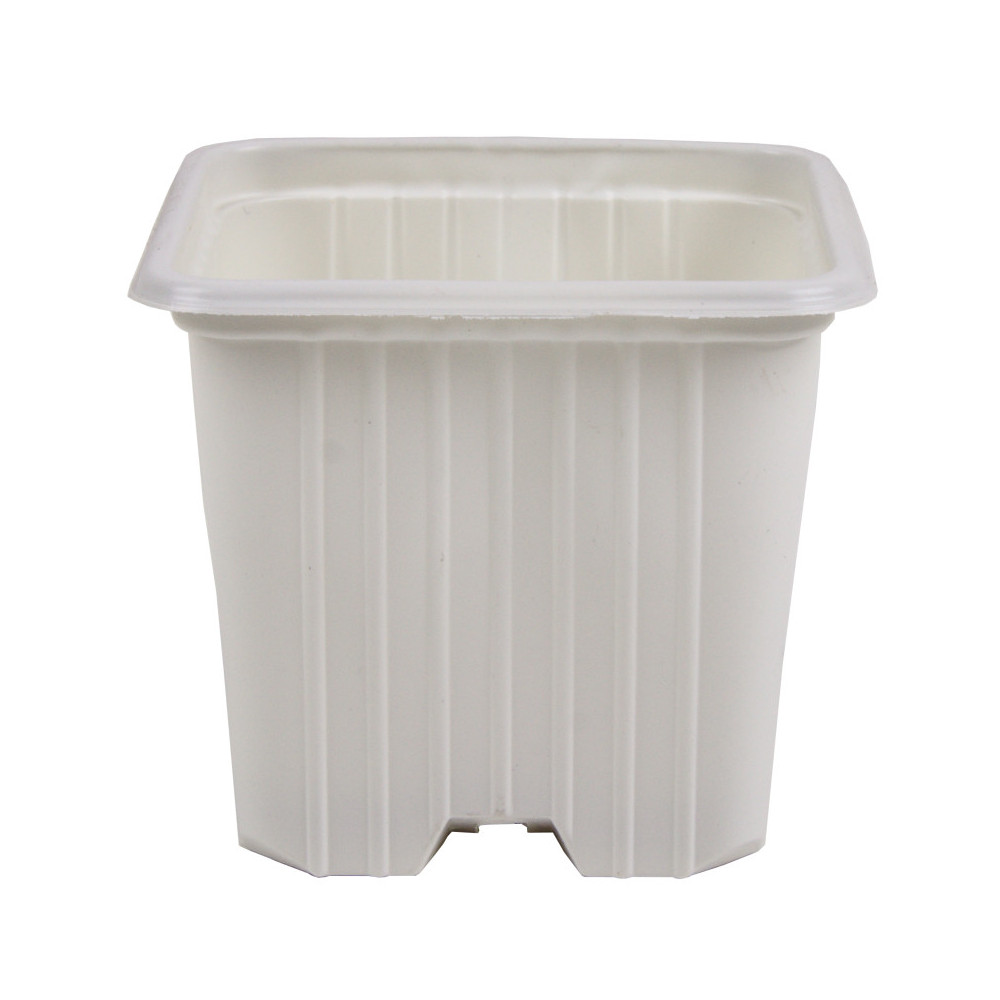 Maceta 7 x 7 x 6 serie f