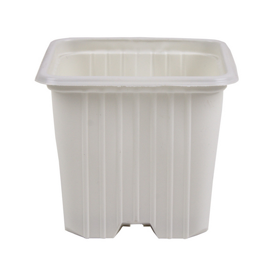 Maceta 7 x 7 x 6 serie f