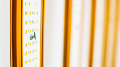 LED 1000w GOLD PRO EVO