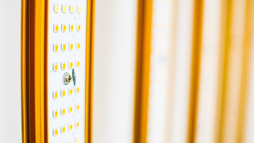 LED 1000w GOLD PRO EVO