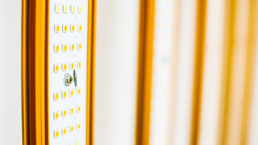 LED 1000w GOLD PRO EVO