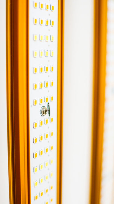 LED 1000w GOLD PRO EVO