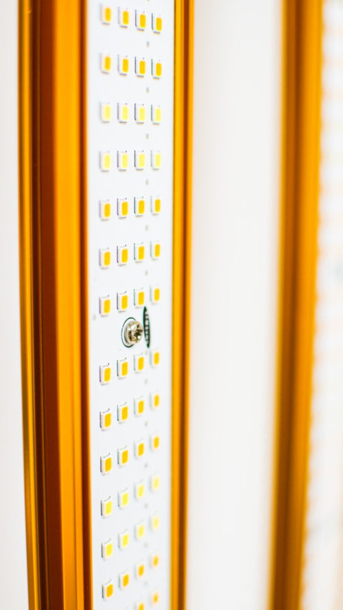 LED 1000w GOLD PRO EVO