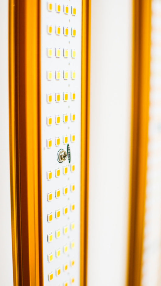 LED 1000w GOLD PRO EVO