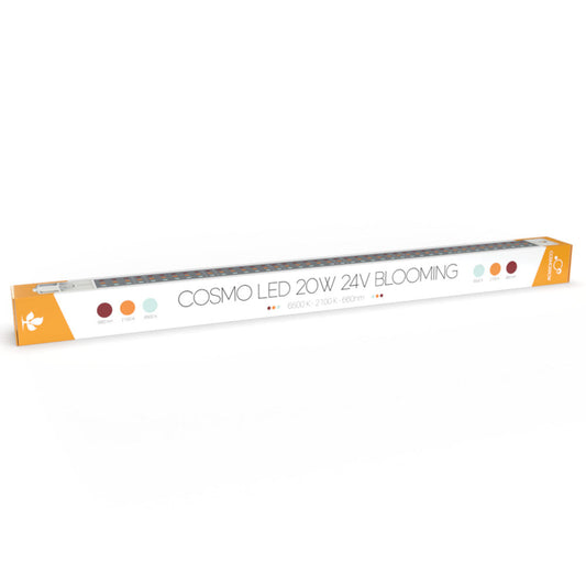 Secret Jardin - led cosmorrow ppe2.4 bloom