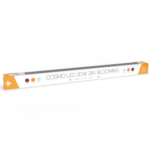 Led Cosmorrow 20W PPE2.4 Bloom