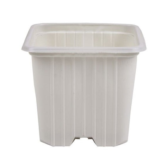 Maceta 7 x 7 x 6 (0.20L) serie f