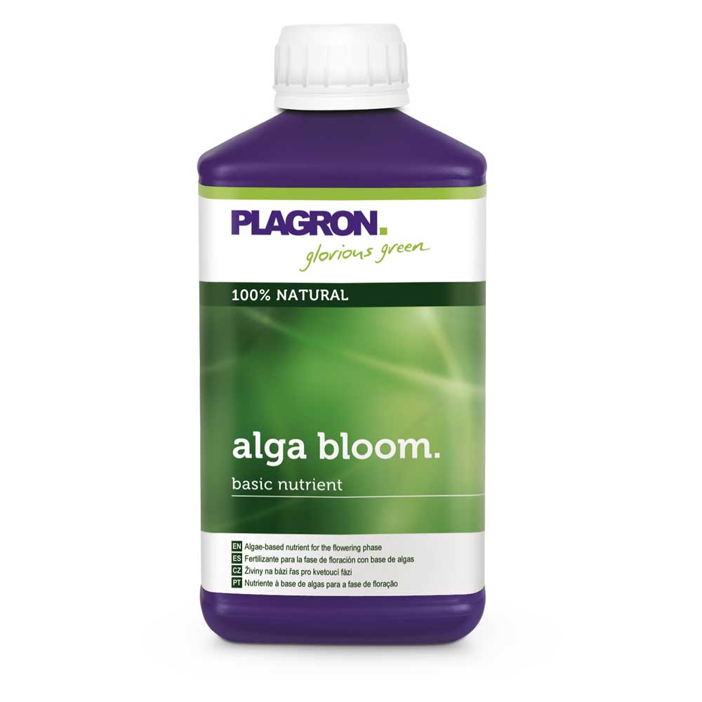 Alga Bloom