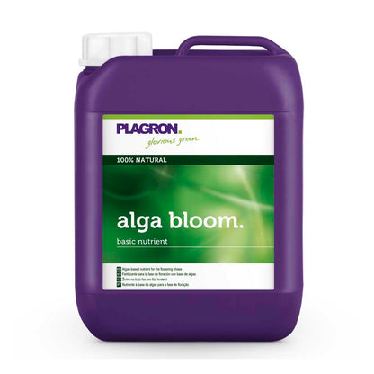 Alga Bloom