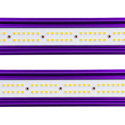 Pro LED Zeus Lumatek 600w 2.9