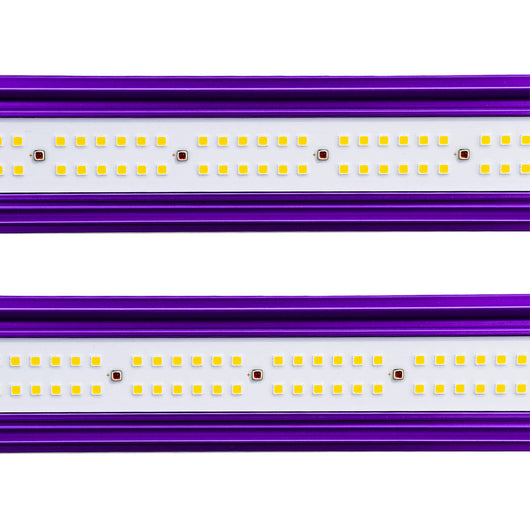 Pro LED Zeus Lumatek 600w 2.9