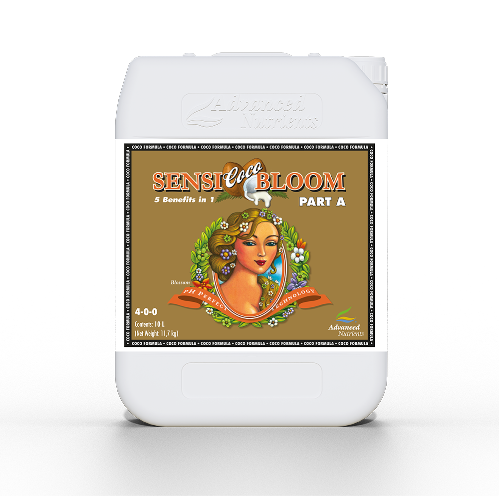 Sensi Bloom Coco A