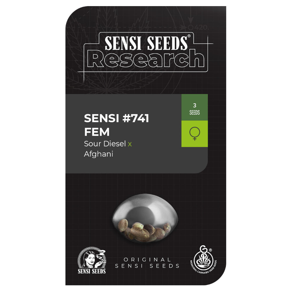 Sensi #741 Sour Diesel x Afghani