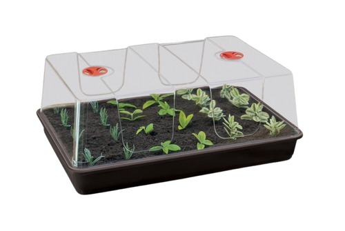 Propagador grande 58 x 40 x 22.5 cm garland