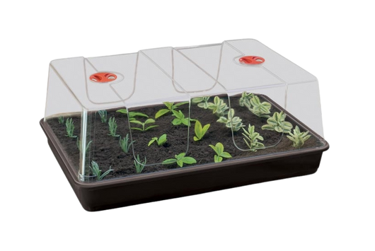 Propagador grande 58 x 40 x 22.5 cm garland