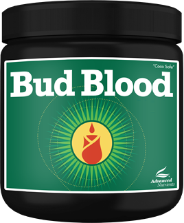 Bud blood powder advanced nutrients