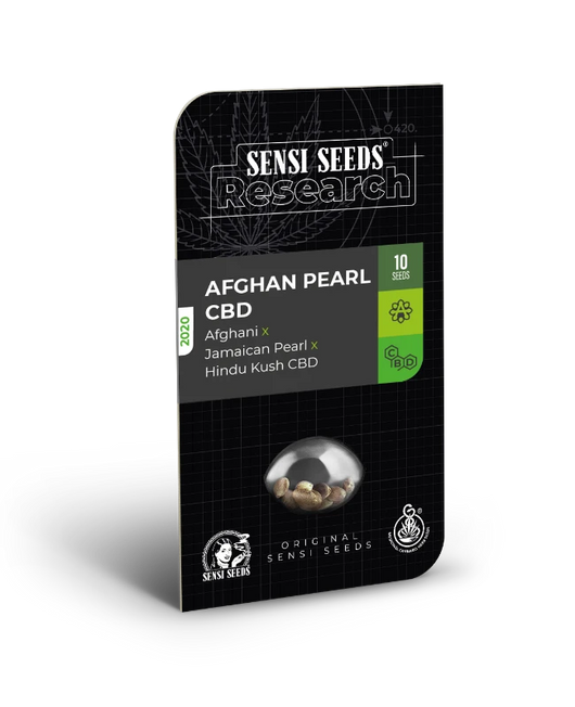 Afghan pearl cbd (3) auto sensi seeds