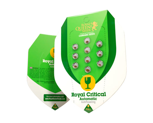 Royal creamatic auto royal queen seeds