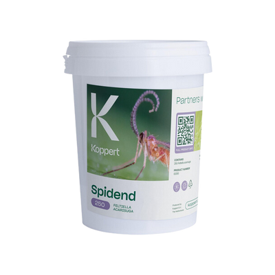 Spidend 250 cubo 550 ml koppert