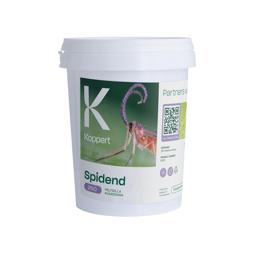 Spidend 250 cubo 550 ml koppert
