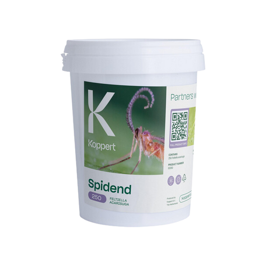 Spidend 250 cubo 550 ml koppert