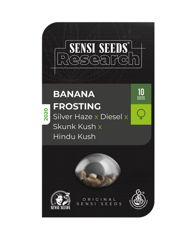 Banana frosting 100% sensi seeds