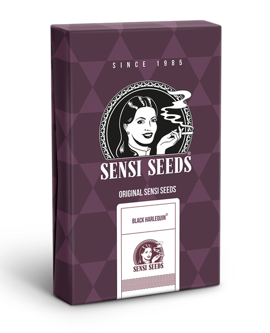 Black harlequin cbd (10) sensi seeds