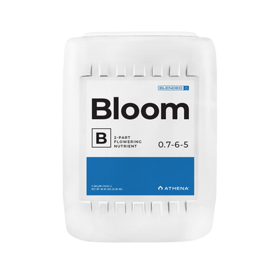 Bloom b athena