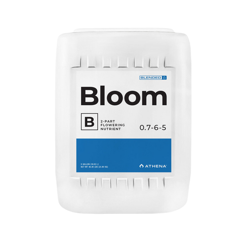 Bloom b athena