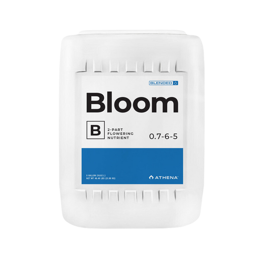 Bloom b athena