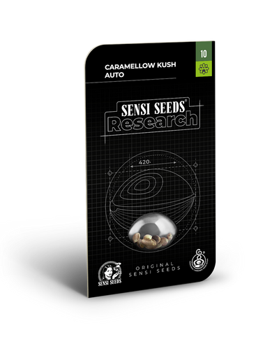 Caramellow kush auto sensi seeds