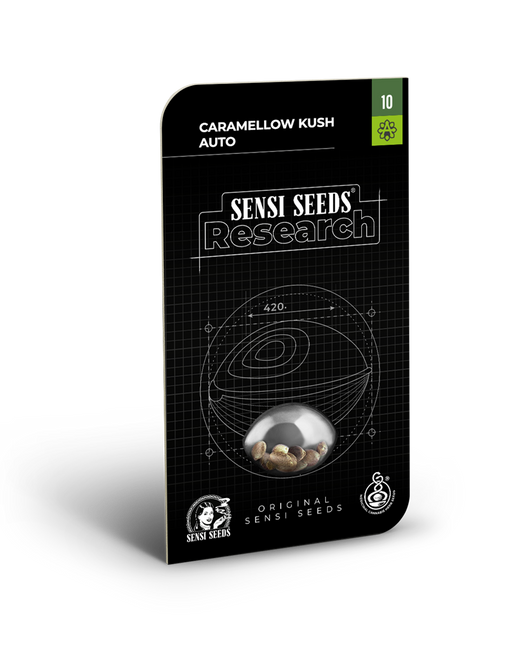 Caramellow kush auto sensi seeds