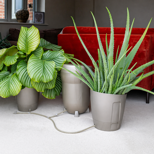 Khloris watering system (completo) morado autopot