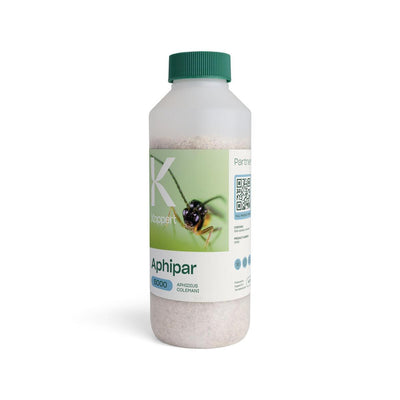 Aphipar 1000 (aphidius colemani) koppert